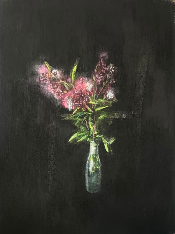 Beth Marsden, Darn o Pabli Pluog'