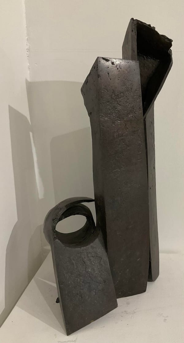 Carole Hodgson, Distant Voices