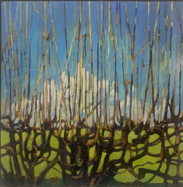 Clare Rose, Spring Hedge St Dogmaels