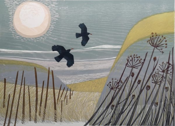 Charlotte Baxter RCA, Choughs