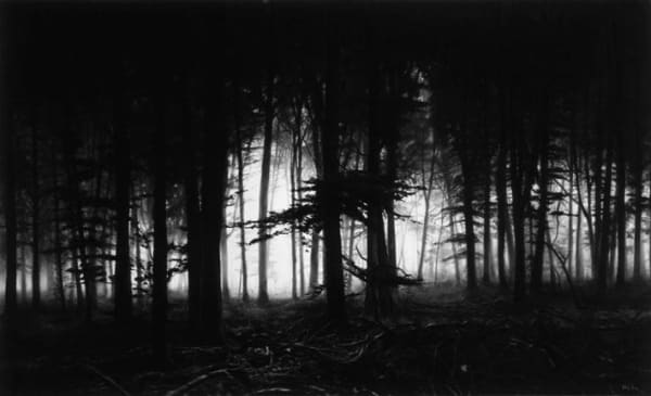 Robert Longo, Forest of Doxa, 2013