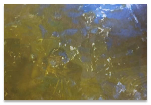 Xie Nanxing, Untitled (No.1), 2014