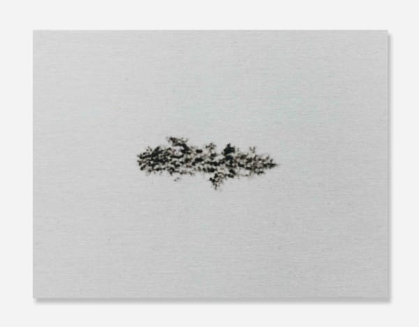 Alice Wang, Untitled 无题, 2014