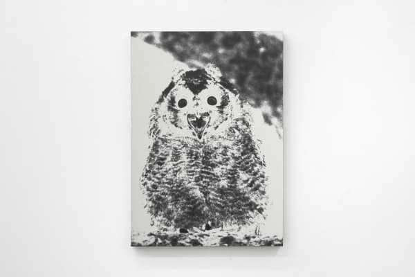 Luca Campestri 卢卡·坎佩斯特里, The dreamer slept but did not dream 梦者沉睡却未曾做梦, 2024