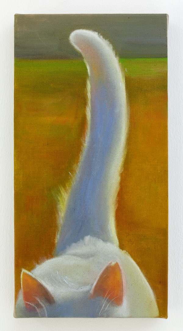 Tao Siqi 陶斯祺, White Tail 白尾 , 2021