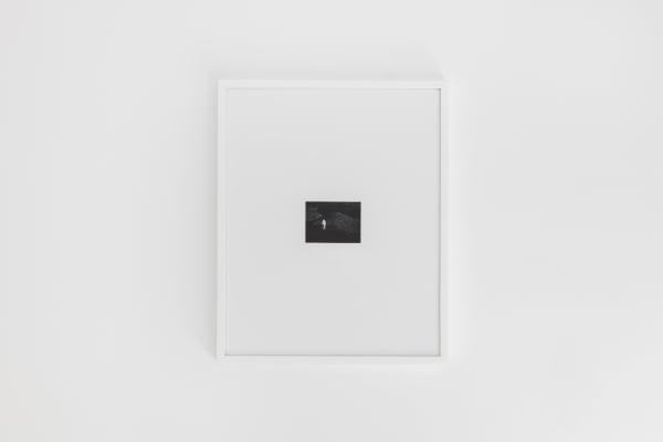 Alice Wang 王凝慧, Untitled 无题, 2017