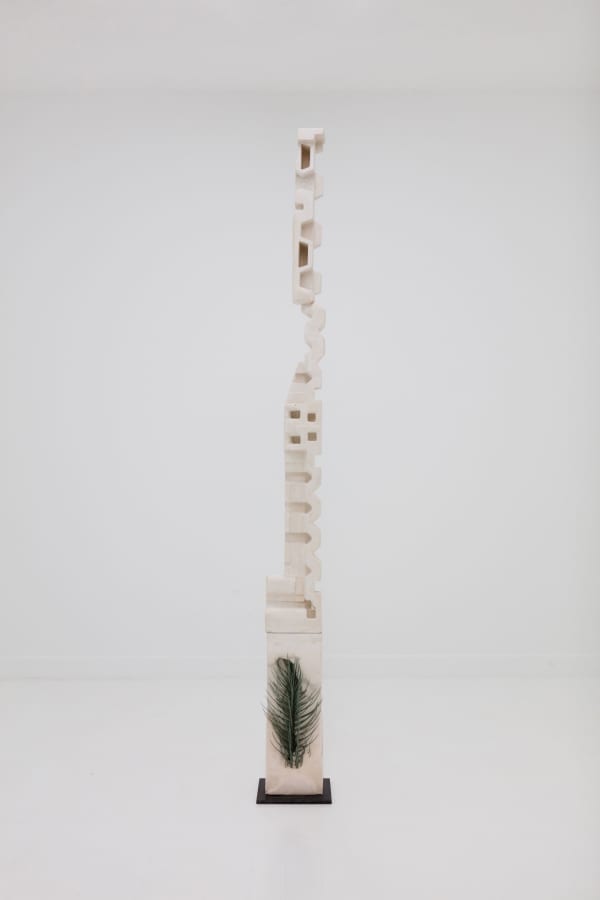 Leelee Chan 陳麗同, Endless Consumption 无尽的消耗, 2015-2017