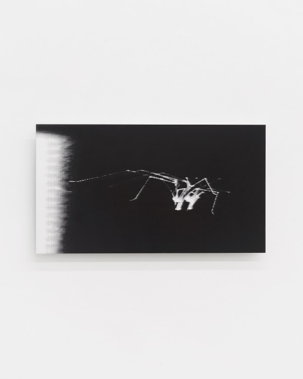 Luca Campestri 卢卡·坎佩斯特里, Interstice 罅隙, 2023