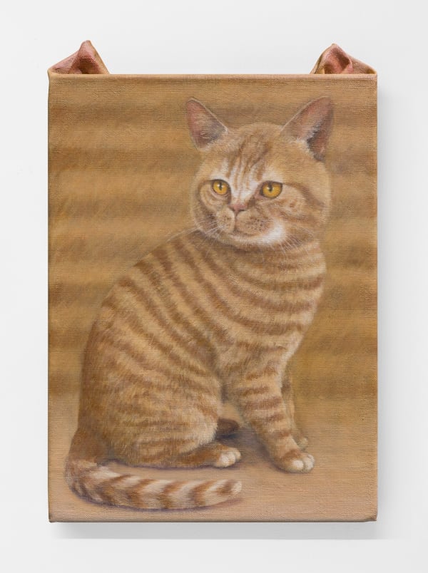 Ryosuke Kumakura 熊倉良介, Cat 猫, 2020