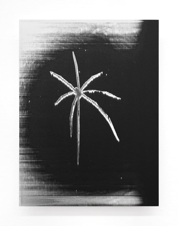 Luca Campestri 卢卡·坎佩斯特里, Interstice 罅隙, 2023