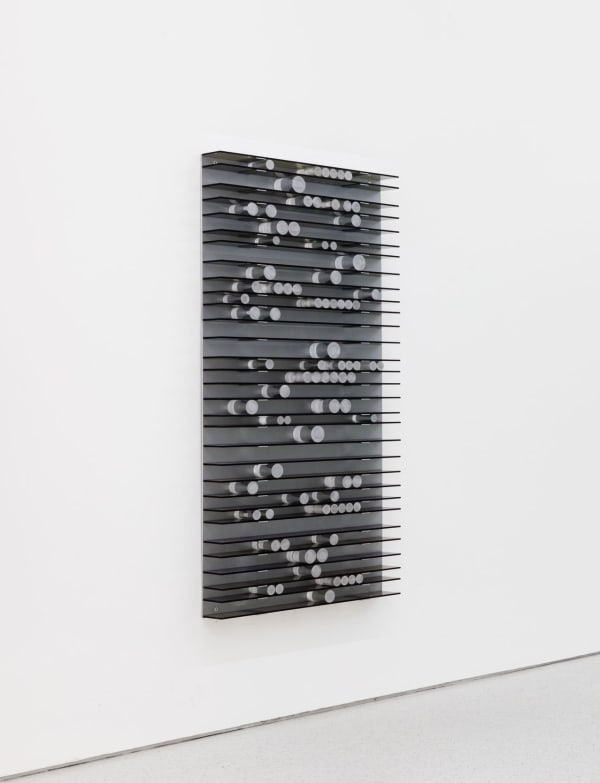 Alice Wang 王凝慧, Untitled 无题, 2022