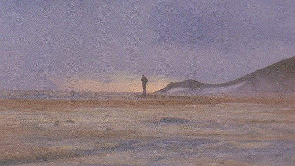 Alice Wang 王凝慧, Untitled 无题, 2024