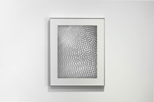 Feng Chen 冯晨, Between 20hz-30hz (03) 赫兹 20hz-30hz之间 (03), 2019