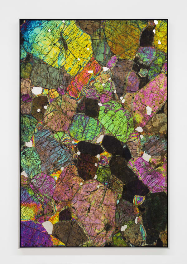 Alice Wang 王凝慧, Untitled 无题, 2024