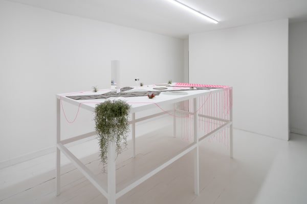 Alice Wang 王凝慧, Untitled 无题, 2021