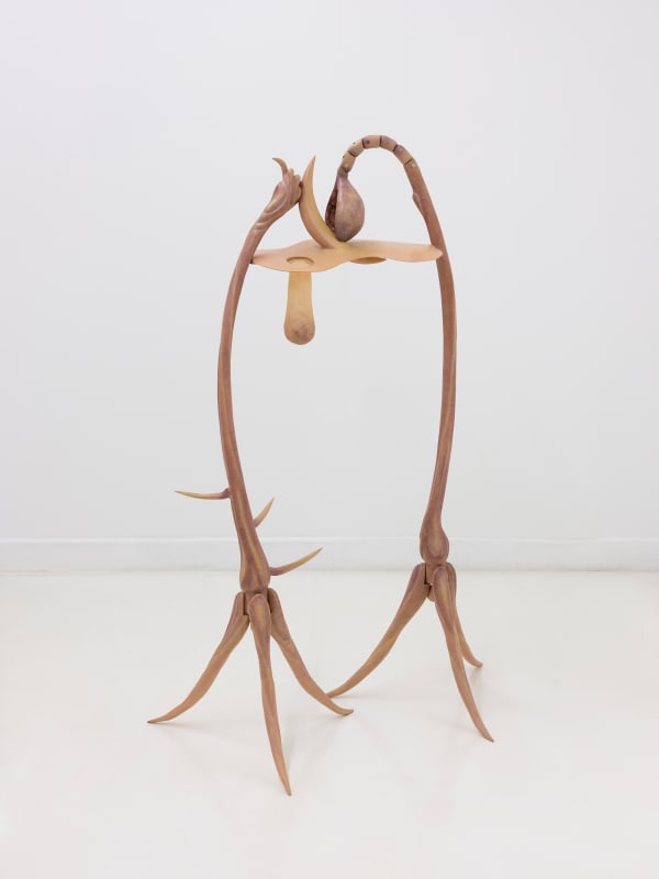 Liao Wen 廖雯, The Garden of Adonis 阿多尼斯的花园, 2021