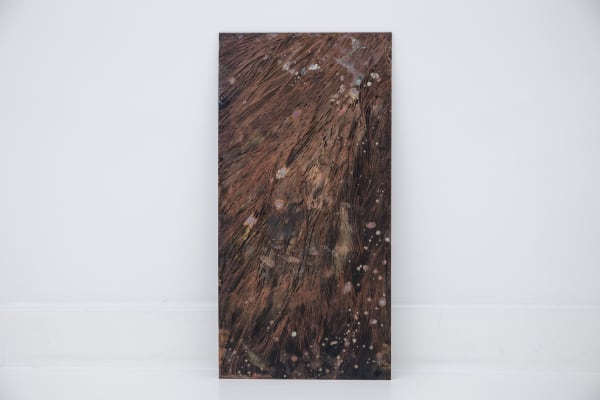 Alice Wang 王凝慧, Untitled 无题, 2017