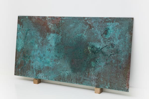 Alice Wang 王凝慧, Untitled 无题, 2017