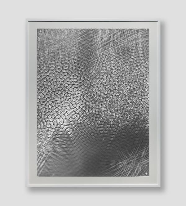 Feng Chen 冯晨, 31Hz 31赫兹, 2018