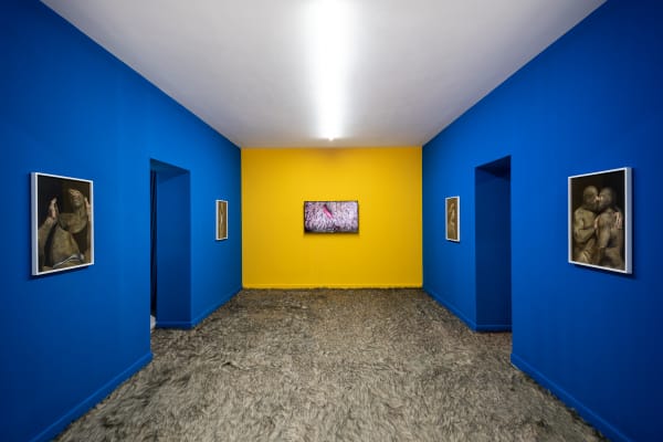 Wang Haiyang 王海洋, Skins 01-06 皮囊 01-06, 2017-2018