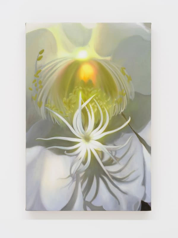 Tao Siqi 陶斯祺, Fleeting, 2025