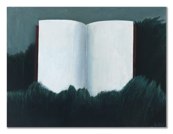 Gao Yuan 高源, Book 书, 2015