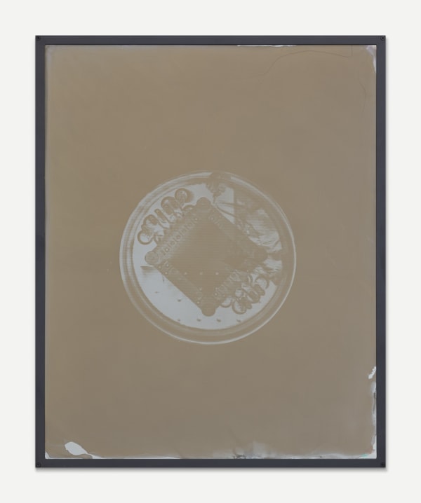 Alice Wang 王凝慧, Untitled 无题, 2023