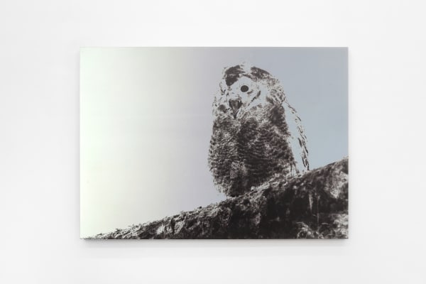 Luca Campestri 卢卡·坎佩斯特里, The dreamer slept but did not dream 梦者沉睡却未曾做梦, 2024