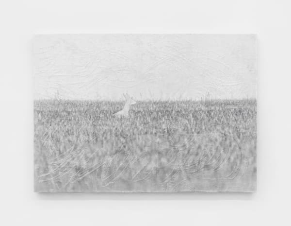 Luca Campestri 卢卡·坎佩斯特里, Like velvety scars 像天鹅绒般的伤痕, 2025