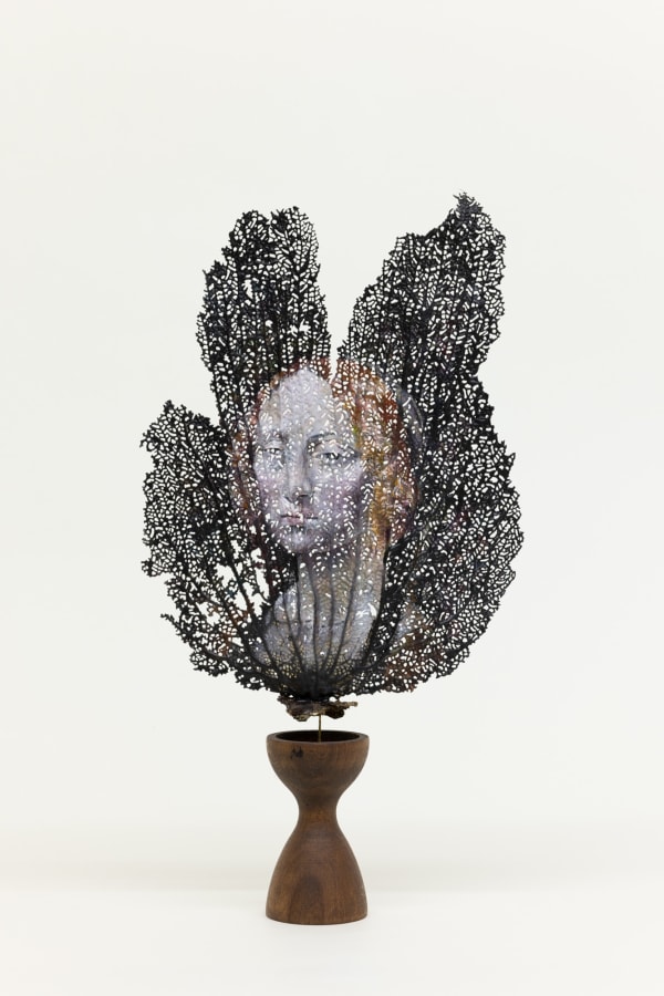 Chris Oh 克里斯·吴, Gorgon 戈耳工, 2023