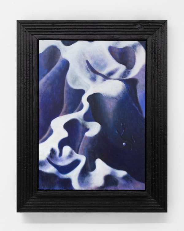 Mevlana Lipp 梅夫拉纳·利普, Hidden 匿藏, 2025