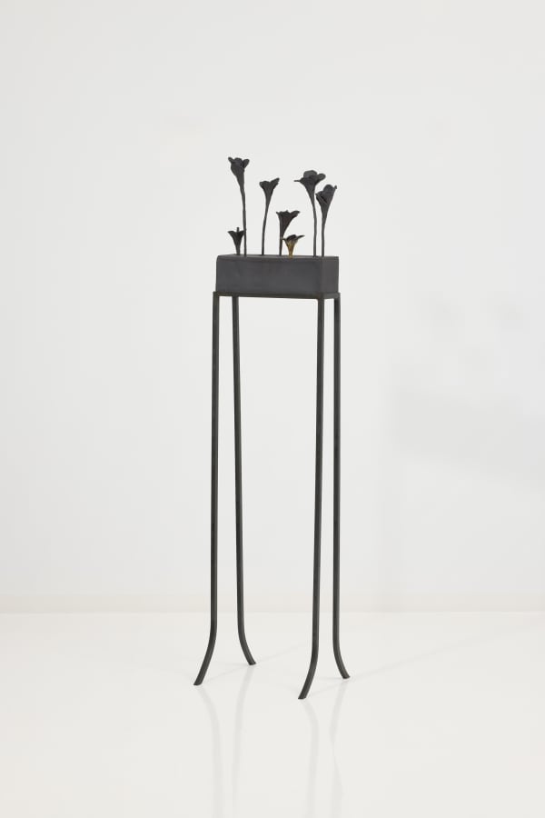 Elizabeth Jaeger 伊丽莎白·耶格, Isola San Michele 圣米歇尔岛, 2024