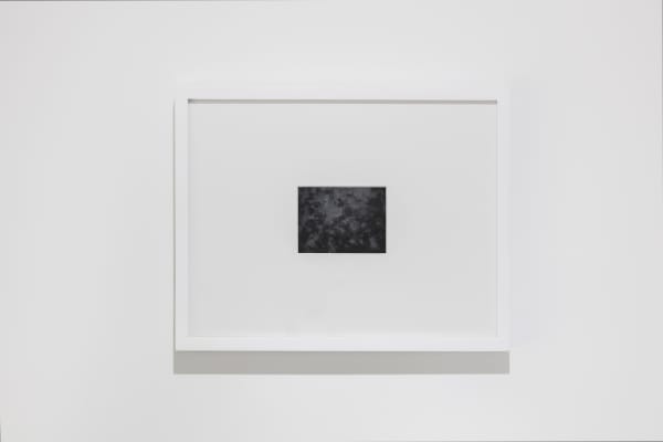 Alice Wang 王凝慧, Untitled 无题, 2017