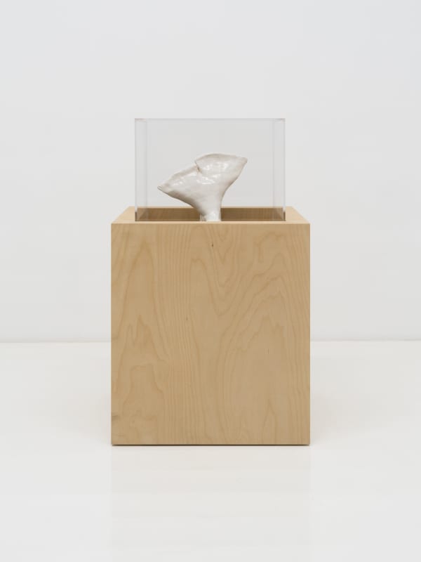 Miranda Fengyuan Zhang 张丰渊, FF008, 2025