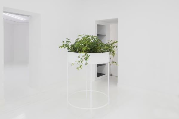 Alice Wang 王凝慧, Untitled 无题, 2017