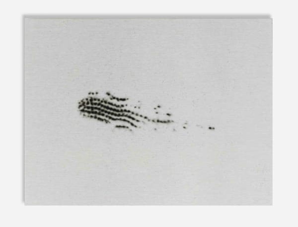 Alice Wang, Untitled 无题, 2014