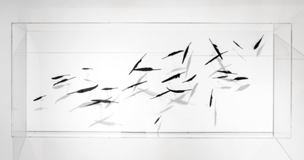 Maya Kramer 玛雅·克莱默, Against the Wind 逆风而行, 2014