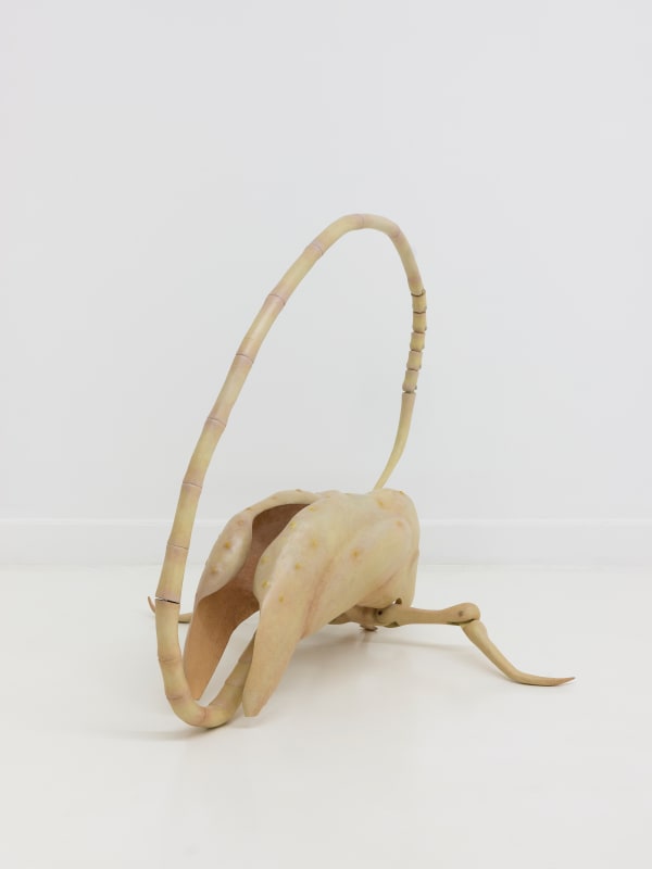 Liao Wen 廖雯, Uprise 升, 2021