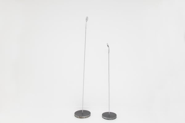 Jiang Li 蒋立, Shower Head 淋浴头, 2017