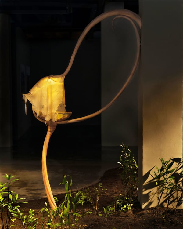 Liao Wen 廖雯, Wind Passing through Our Bodies 风穿过我们的身体, 2021