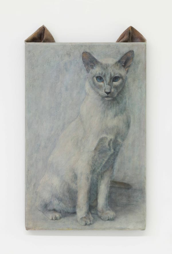 Ryosuke Kumakura 熊倉良介, Cat 猫, 2019