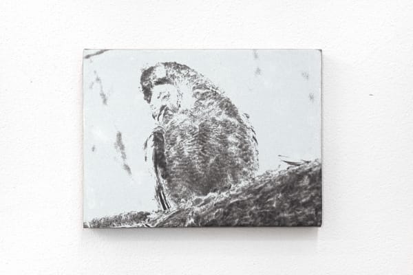 Luca Campestri, The dreamer slept but did not dream, 2024