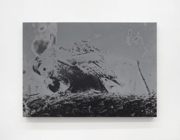 Luca Campestri, The dreamer slept but did not dream, 2024