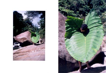 Carlos Betancourt, Untitled (Elephant ear with Alberto), 2003