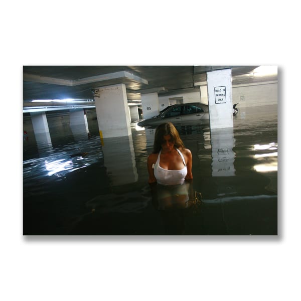 The Deluge, After the Hurricane, 2009