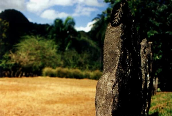 Carlos Betancourt, Caguama, Puerto Rico, 1999-2000