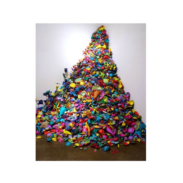 Re-Collections Seashells, 2005