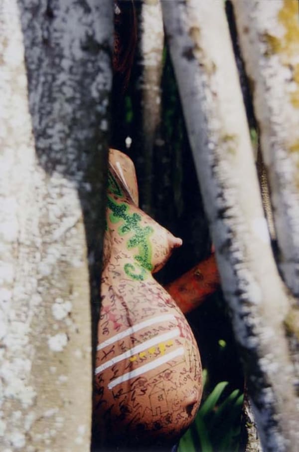 Carlos Betancourt, Iguanaboina, La Cueva Pintada, 2001