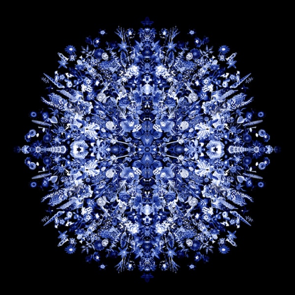 Carlos Betancourt, Re-Collections XI, azul, 2011