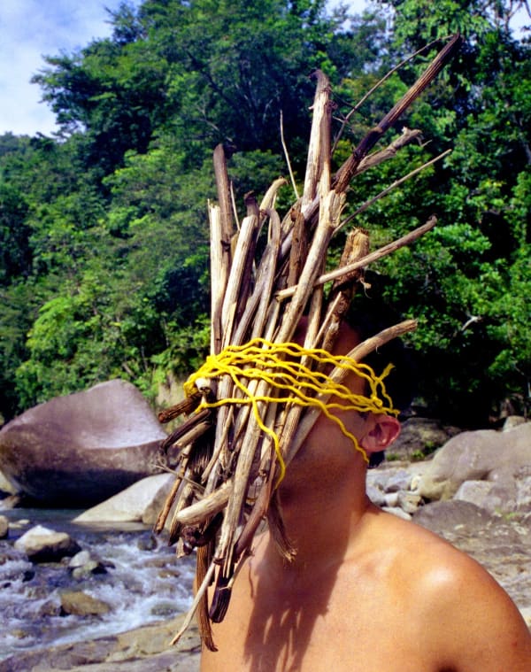 Carlos Betancourt, Vejigantes en Casa Flamboyant, II, 2004